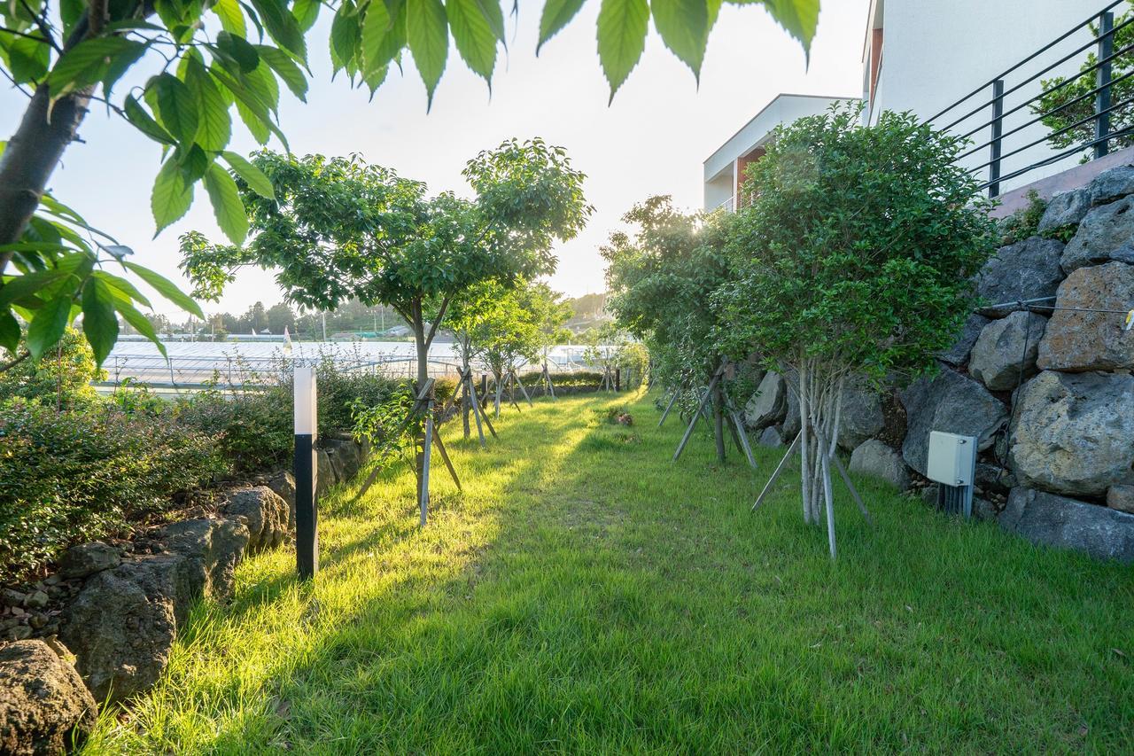Dorami Pension Sogüpcho Exteriér fotografie